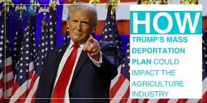 HOW-TRUMP-S-MASS-DEPORTATION-PLAN-COULD-IMPACT-THE-AGRICULTURE-INDUSTRY